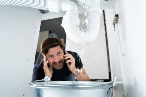 Best Drain Cleaning Services  in Lake Forest, IL