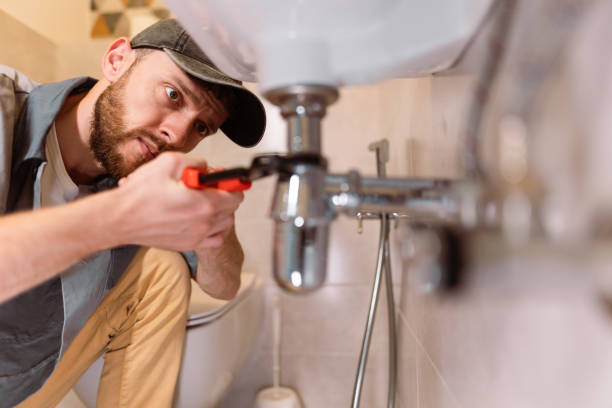 Best Clogged Drain Plumber  in Lake Forest, IL