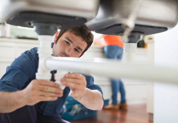 Best Drain Cleaning Services  in Lake Forest, IL