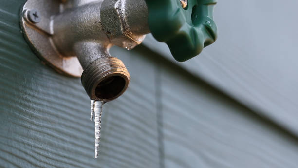Best Shower Repair Services  in Lake Forest, IL